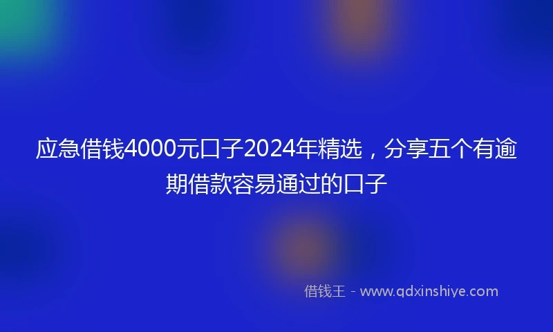应急借钱4000元口子2024年精选，分享五个有逾期借款容易通过的口子