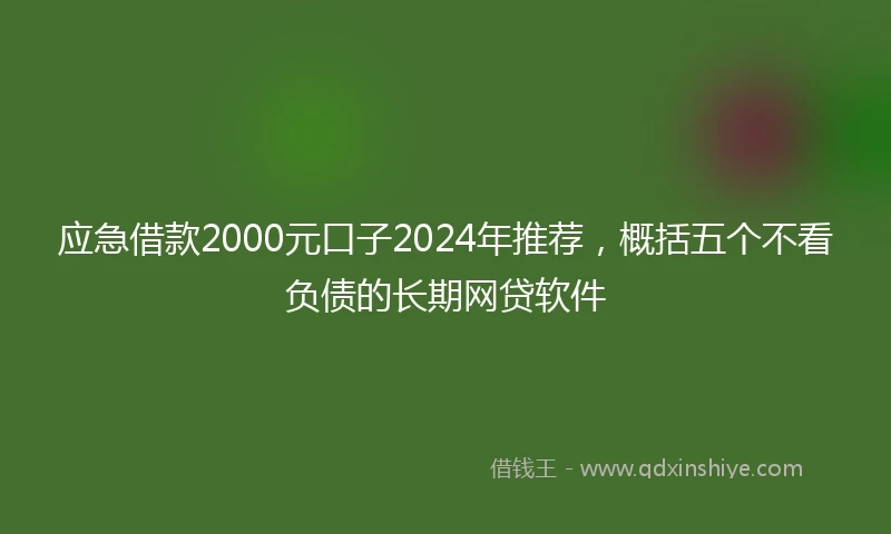 应急借款2000元口子2024年推荐，概括五个不看负债的长期网贷软件