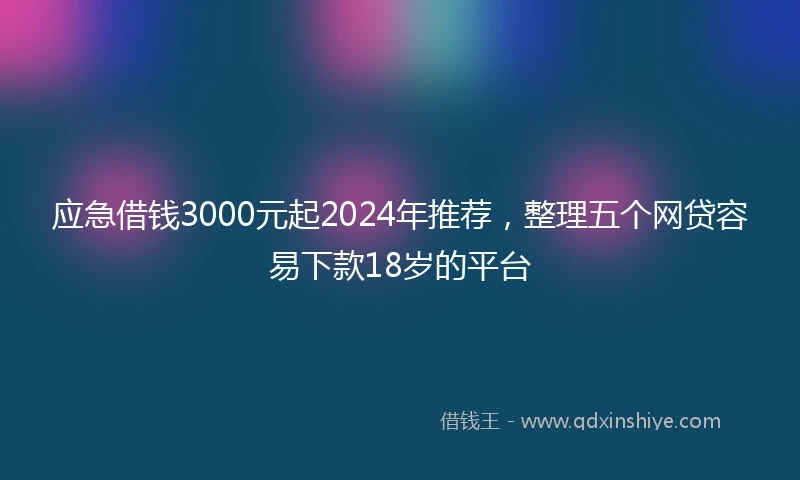 应急借钱3000元起2024年推荐，整理五个网贷容易下款18岁的平台