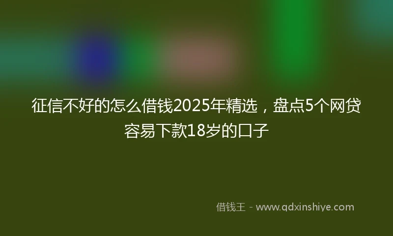 征信不好的怎么借钱2025年精选，盘点5个网贷容易下款18岁的口子