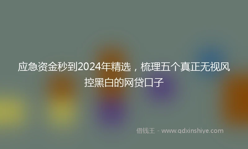应急资金秒到2024年精选，梳理五个真正无视风控黑白的网贷口子