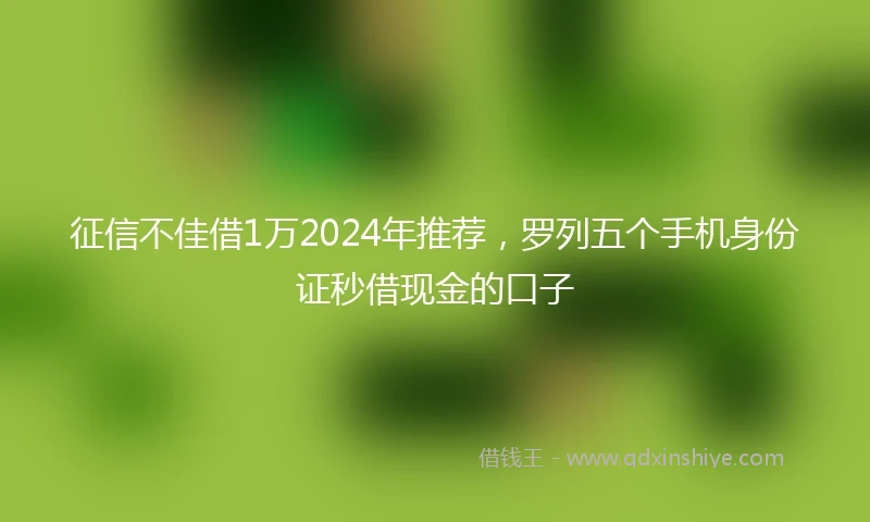 征信不佳借1万2024年推荐，罗列五个手机身份证秒借现金的口子