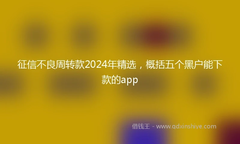 征信不良周转款2024年精选，概括五个黑户能下款的app