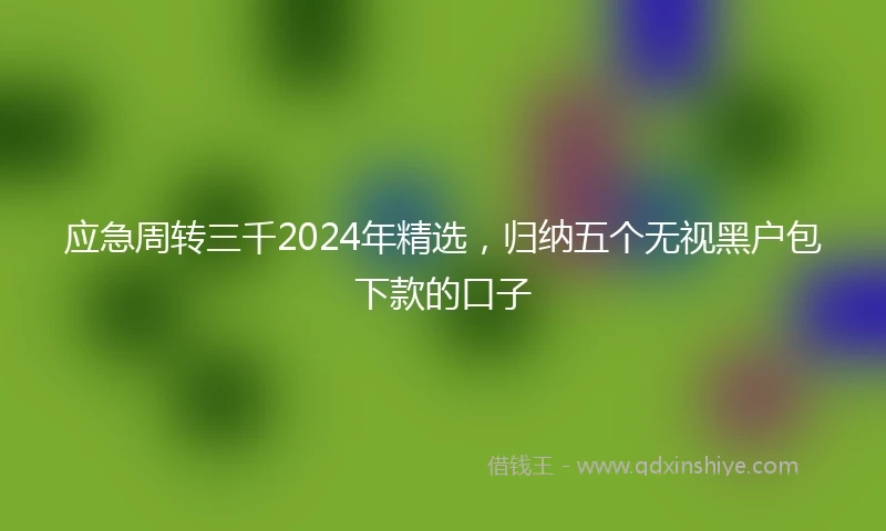 应急周转三千2024年精选，归纳五个无视黑户包下款的口子