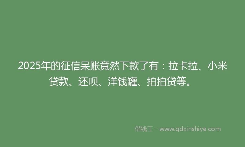 2025年的征信呆账竟然下款了有：拉卡拉、小米贷款、还呗、洋钱罐、拍拍贷等。