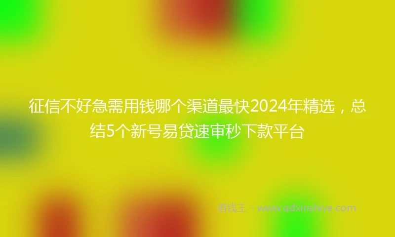 征信不好急需用钱哪个渠道最快2024年精选，总结5个新号易贷速审秒下款平台