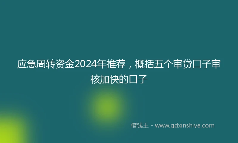 应急周转资金2024年推荐，概括五个审贷口子审核加快的口子