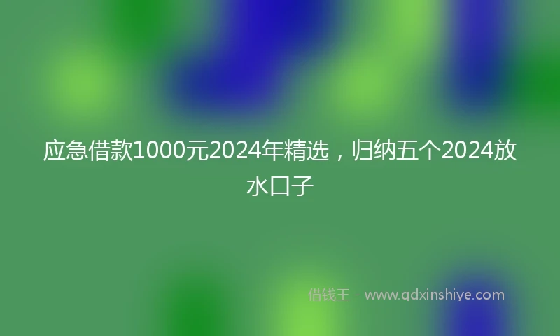 应急借款1000元2024年精选，归纳五个2024放水口子