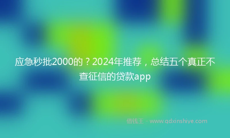 应急秒批2000的？2024年推荐，总结五个真正不查征信的贷款app