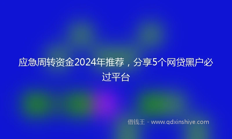应急周转资金2024年推荐，分享5个网贷黑户必过平台