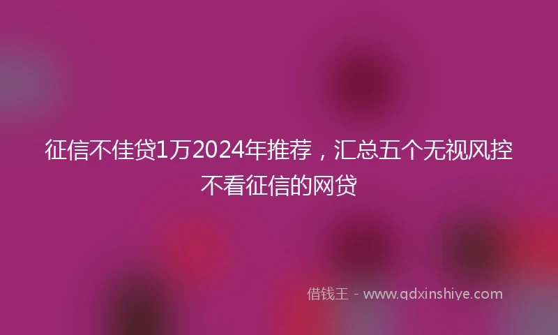 征信不佳贷1万2024年推荐，汇总五个无视风控不看征信的网贷