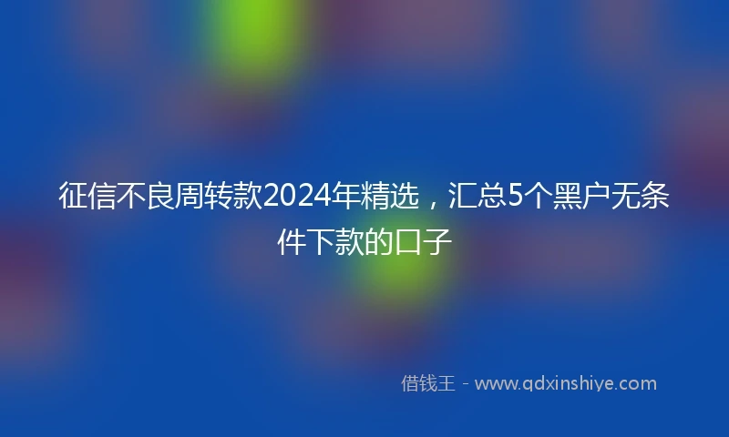 征信不良周转款2024年精选，汇总5个黑户无条件下款的口子