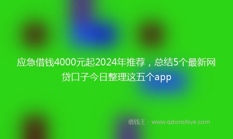 应急借钱4000元起2024年推荐，总结5个最新网贷口子今日整理这五个app