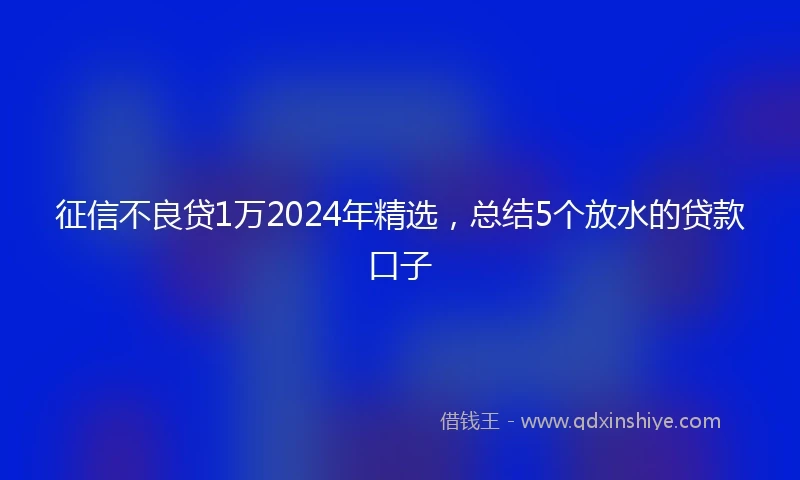 征信不良贷1万2024年精选，总结5个放水的贷款口子