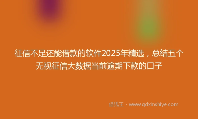 征信不足还能借款的软件2025年精选，总结五个无视征信大数据当前逾期下款的口子