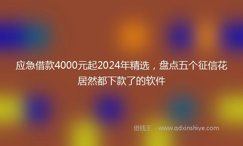 应急借款4000元起2024年精选，盘点五个征信花居然都下款了的软件