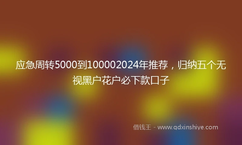 应急周转5000到100002024年推荐，归纳五个无视黑户花户必下款口子
