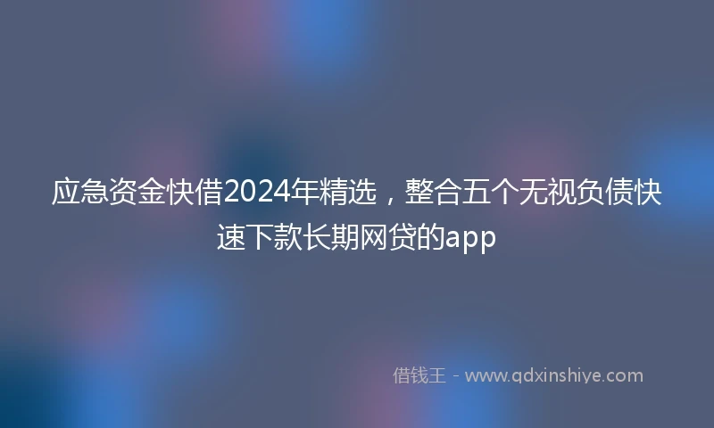应急资金快借2024年精选，整合五个无视负债快速下款长期网贷的app