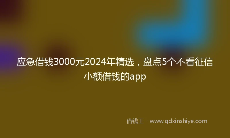 应急借钱3000元2024年精选，盘点5个不看征信小额借钱的app