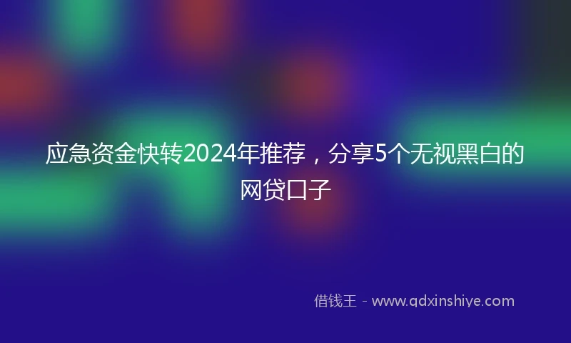 应急资金快转2024年推荐，分享5个无视黑白的网贷口子