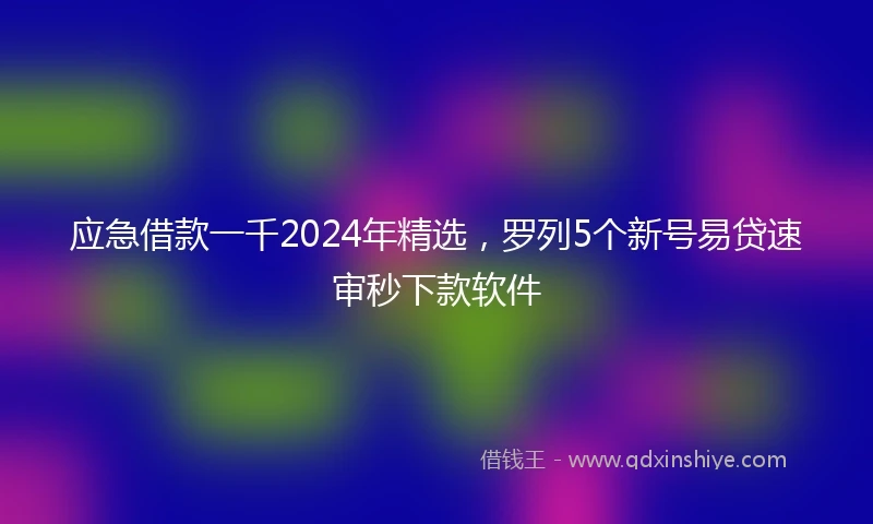 应急借款一千2024年精选，罗列5个新号易贷速审秒下款软件
