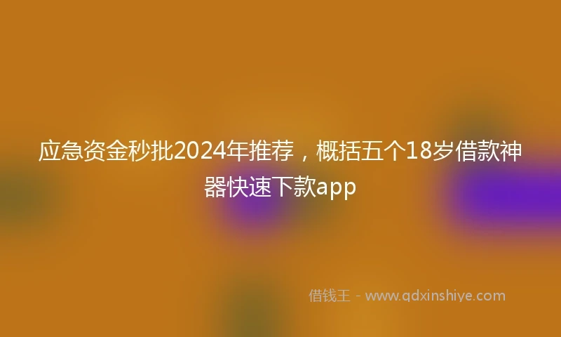 应急资金秒批2024年推荐，概括五个18岁借款神器快速下款app
