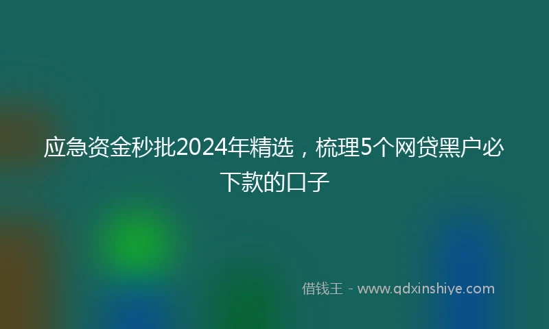 应急资金秒批2024年精选，梳理5个网贷黑户必下款的口子