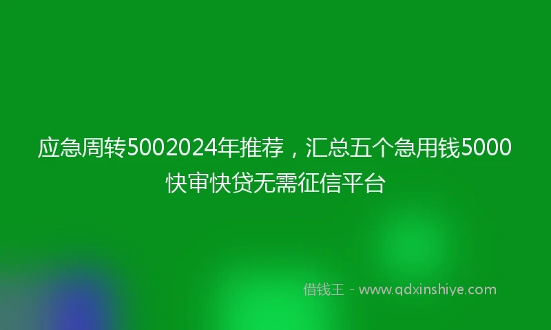 应急周转5002024年推荐，汇总五个急用钱5000快审快贷无需征信平台