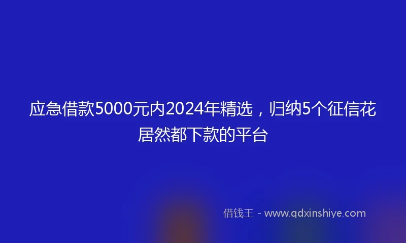应急借款5000元内2024年精选，归纳5个征信花居然都下款的平台