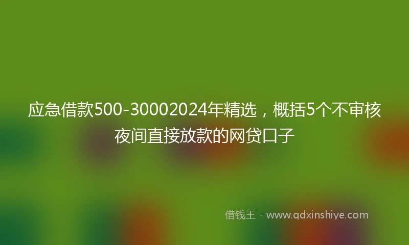 应急借款500-30002024年精选，概括5个不审核夜间直接放款的网贷口子