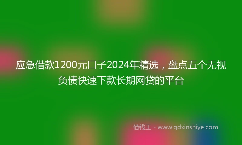 应急借款1200元口子2024年精选，盘点五个无视负债快速下款长期网贷的平台