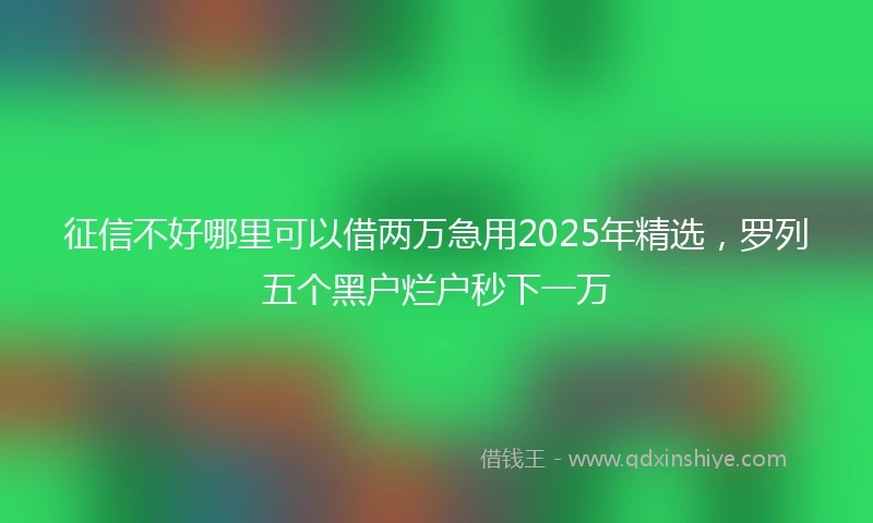 征信不好哪里可以借两万急用2025年精选，罗列五个黑户烂户秒下一万