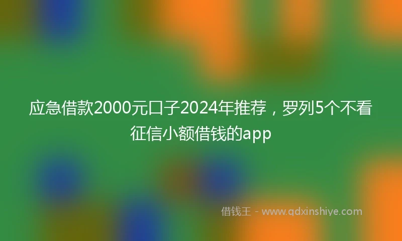 应急借款2000元口子2024年推荐，罗列5个不看征信小额借钱的app