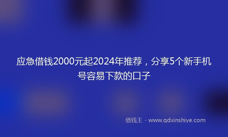 应急借钱2000元起2024年推荐，分享5个新手机号容易下款的口子