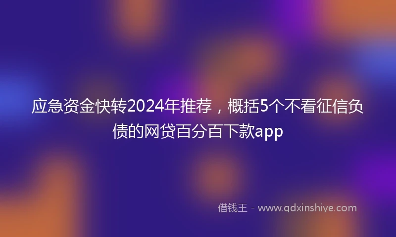 应急资金快转2024年推荐，概括5个不看征信负债的网贷百分百下款app