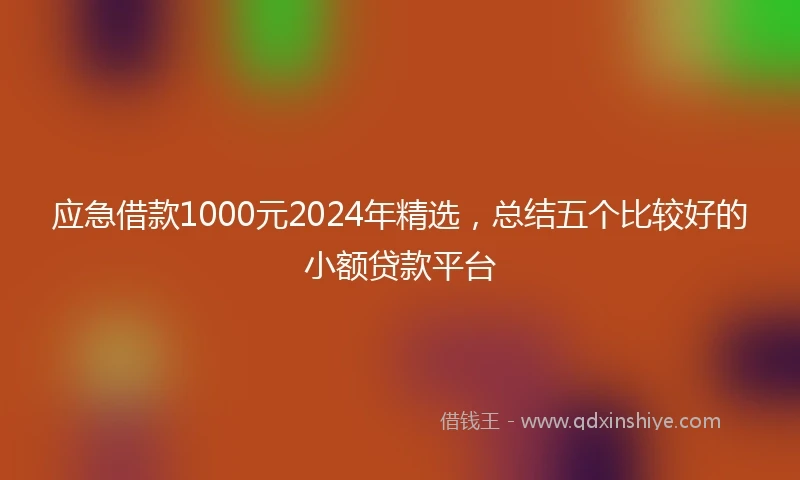应急借款1000元2024年精选，总结五个比较好的小额贷款平台