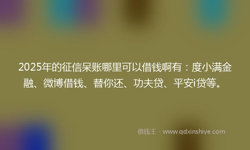 2025年的征信呆账哪里可以借钱啊有：度小满金融、微博借钱、替你还、功夫贷、平安i贷等。