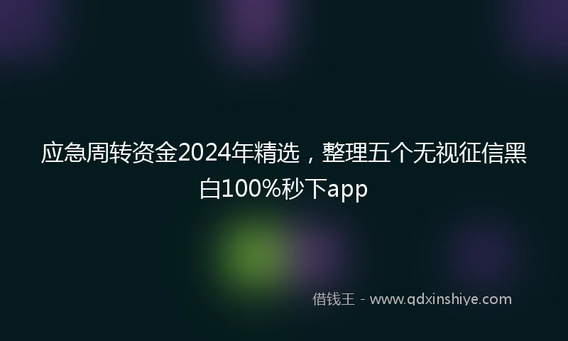应急周转资金2024年精选，整理五个无视征信黑白100%秒下app