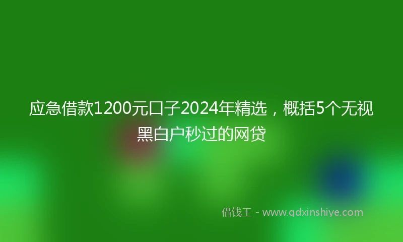 应急借款1200元口子2024年精选，概括5个无视黑白户秒过的网贷