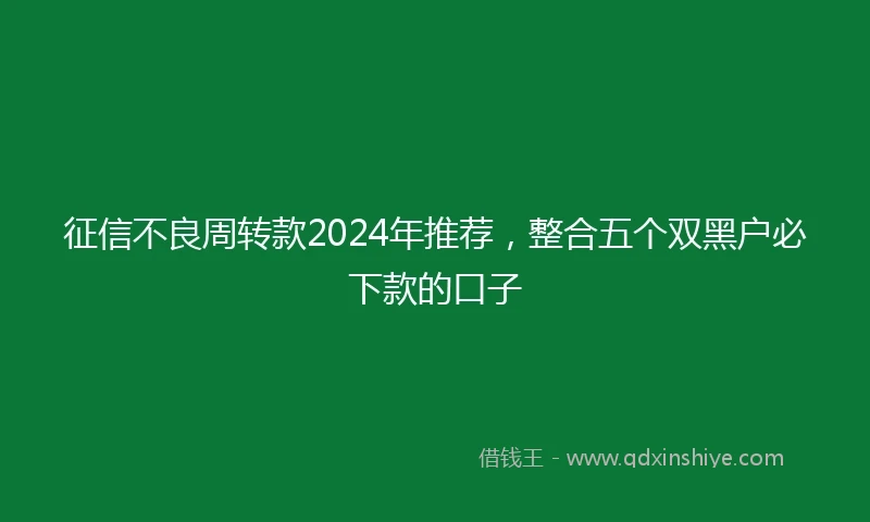 征信不良周转款2024年推荐，整合五个双黑户必下款的口子