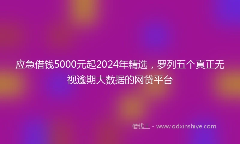 应急借钱5000元起2024年精选，罗列五个真正无视逾期大数据的网贷平台