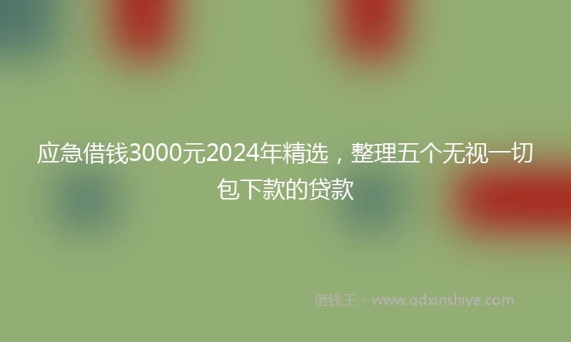应急借钱3000元2024年精选，整理五个无视一切包下款的贷款