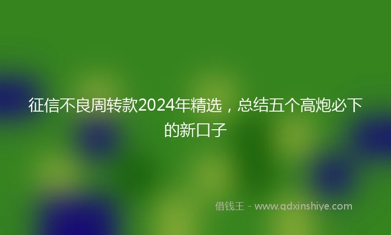 征信不良周转款2024年精选，总结五个高炮必下的新口子