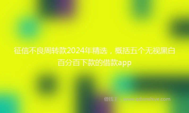 征信不良周转款2024年精选，概括五个无视黑白百分百下款的借款app