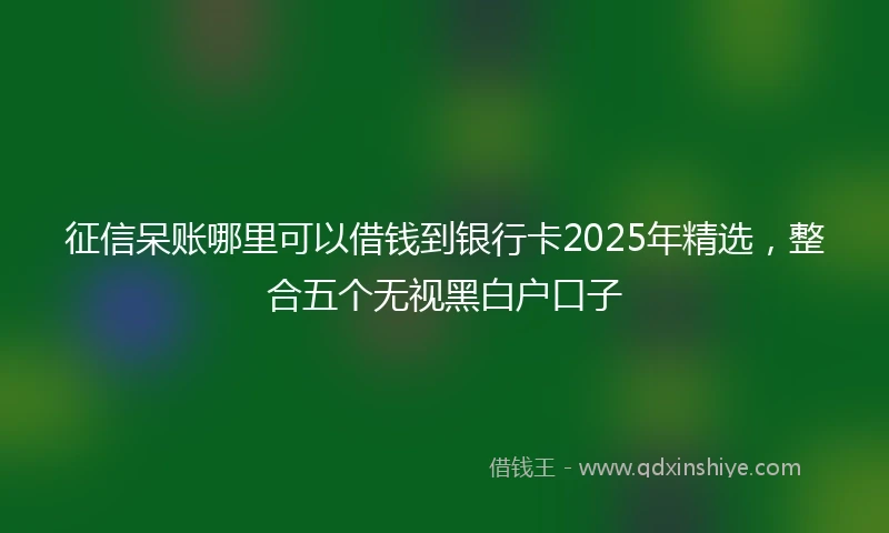 征信呆账哪里可以借钱到银行卡2025年精选，整合五个无视黑白户口子