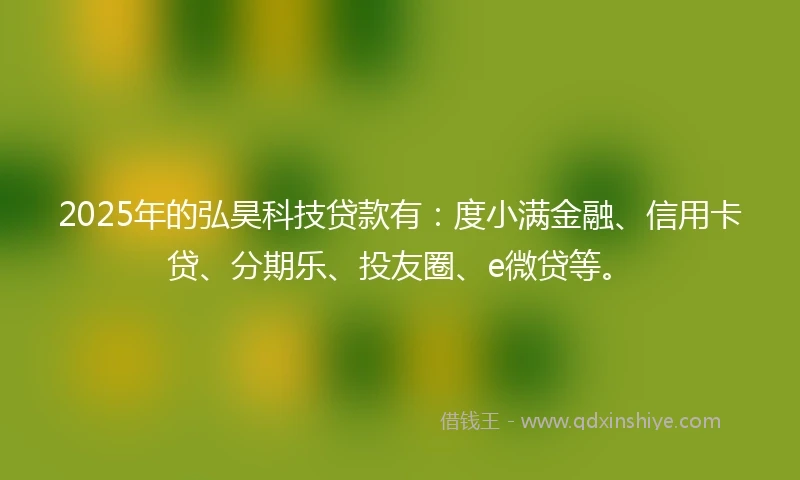 2025年的弘昊科技贷款有：度小满金融、信用卡贷、分期乐、投友圈、e微贷等。