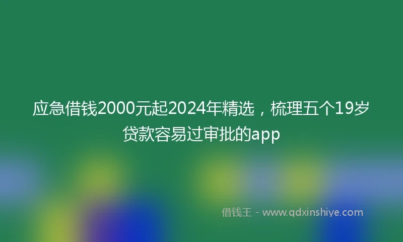应急借钱2000元起2024年精选，梳理五个19岁贷款容易过审批的app