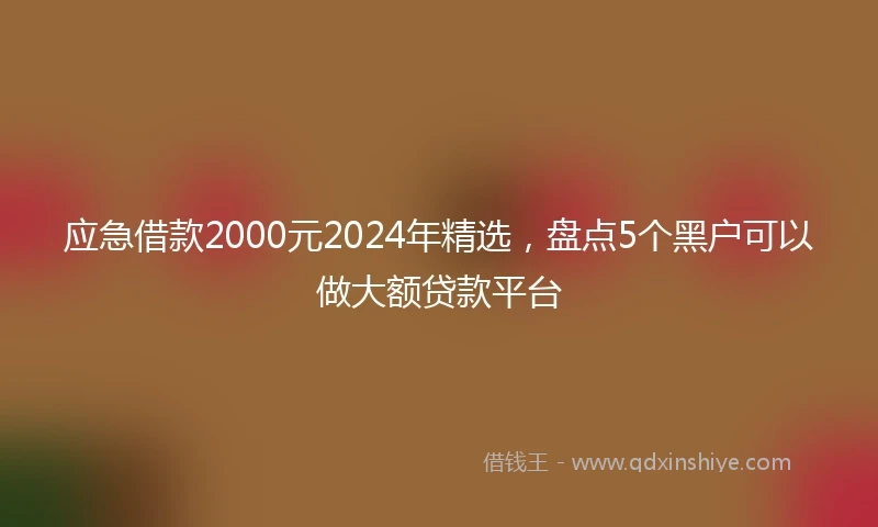 应急借款2000元2024年精选，盘点5个黑户可以做大额贷款平台