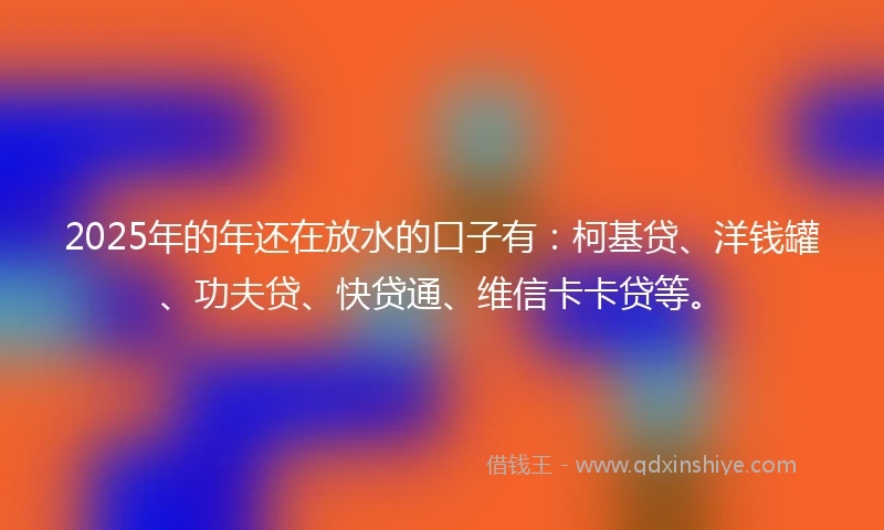 2025年的年还在放水的口子有：柯基贷、洋钱罐、功夫贷、快贷通、维信卡卡贷等。