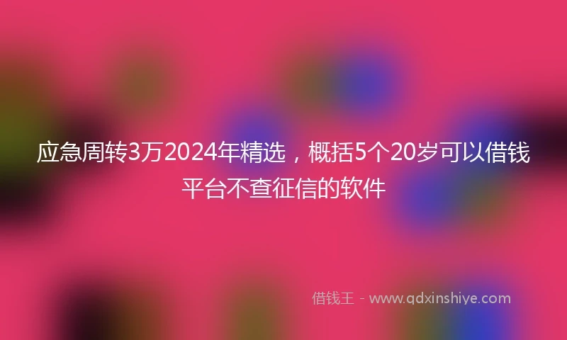 应急周转3万2024年精选，概括5个20岁可以借钱平台不查征信的软件